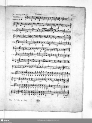 Guitarre.