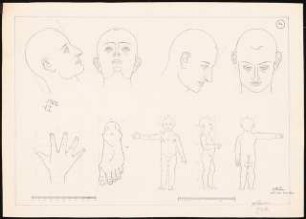 Anatomische Studien: Köpfe, Körper, Hand, Fuß