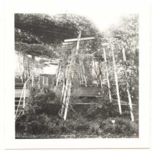 Bundesgartenschau 1957, Köln: Pergola
