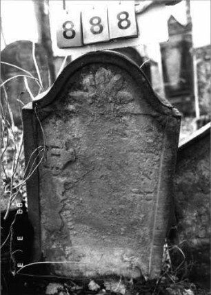 Grabstein 888 (Index: 99751185) Material: Sandstein Zustand: abgeblättert mit völl. Textverlust Maße HxBxT: 94x51x9 cm Beschreibung: Stele, eingezogener Konvexbogenabschluß, Schriftfeld eingetieft Symbolik: Blüte: Grabstein 888