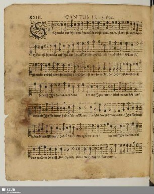 XXIII. Schmecket und sehet
