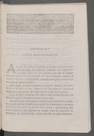 Capítulo XLV - Por el bien de Pimpilín
