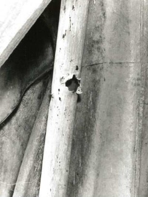 Saxonia : Saxonia (1905; J. Schilling). Kupfer, vergoldet. 1905. Detail mit Beschädigungen durch Bombensplitter- oder Schußeinwirkung. Dresden-Altstadt, Schloßplatz 1, Ständehaus