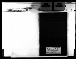 Das französische Chassepot-Gewehr