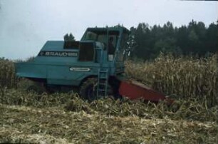 Fotografie: Erntetechnik, Körnermais, Mähdrescher selbstfahrend, Maispflückvorsatz