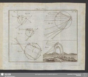 Tab. VII