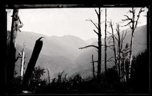 [13]: Chile : Rio Cisnes ; Topographische Ansichten ; Gebirgsaufnahmen ; Flussaufnahmen