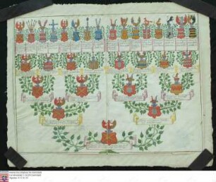 Ahnenprobe des Chalon genannt Gehlen zu Holwinkel, Hüffe u. Lübke. - ausgefertigt 1755 Januar 25, Pergament