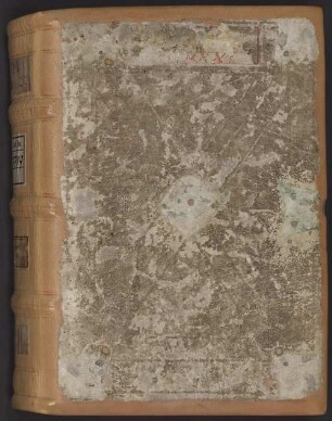 Albertus Magnus de veris virtutibus [u.a.] - BSB Clm 7719