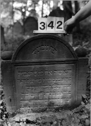 Grabstein 342 (Index: 99803533) Material: Sandstein Zustand: verwitt/eingesunk(befestigt)/Textverlust Maße HxBxT: 62x60x8 cm Beschreibung: Stele mit eingezogenem Rundbogen, Seitenakroterien, Giebelfeld Symbolik: Seitenakroterien: Grabstein 342