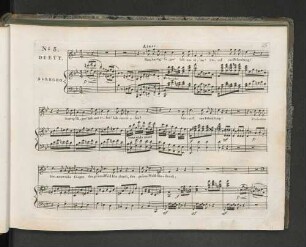 No. 3. Duett.