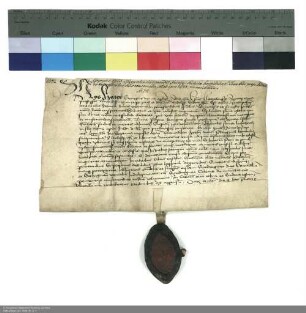 Indulgenz Georgs, [Titular-]Bischof von Nicopolis und Generalvikar Bischof Rudolfs [II.] von Würzburg, für das St. Leonhards-Hospital in Fulda