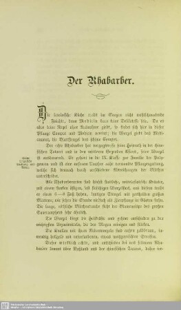 Der Rhabarber