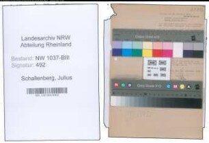 Entnazifizierung Julius Schallenberg , geb. 08.08.1895 (Lehrer)