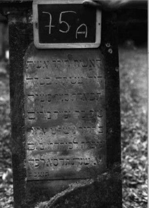 Grabstein 75 (Index: 100090748) Material: Sandstein Zustand: vor allem Sockel stark verwittert Maße HxBxT: 147x54x21 cm Beschreibung: Stele, getreppter Sockel, Giebel mit Eckakroteren, Schrifttafel mit Rundbogen: Grabstein 75A