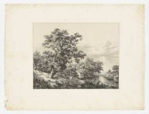 Eiche in der Landschaft