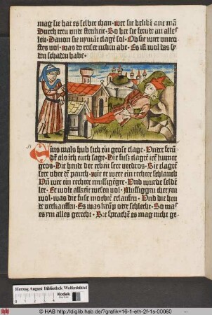 Von den Gliedern des Leibes.
