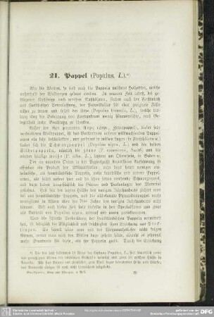 21. Pappel (Populus, L.)