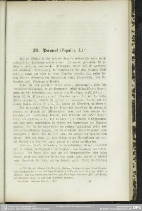 21. Pappel (Populus, L.)