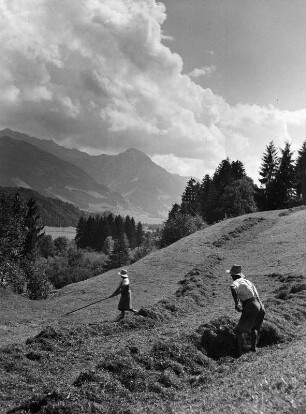 Erntebilder. Heuernte auf einer Gebirgswiese. Schloten