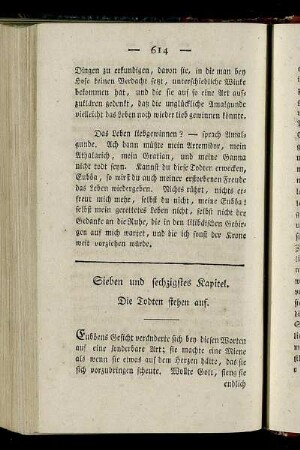 Sieben und sechzigstes Kapitel. - Drey und siebenzigstes Kapitel.