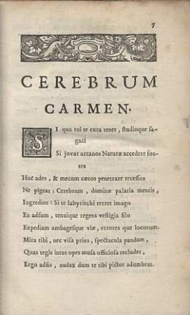 Cerebrum Carmen
