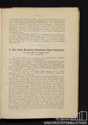 3. Die echte Kastanie (Castanea vesca Gaertner).