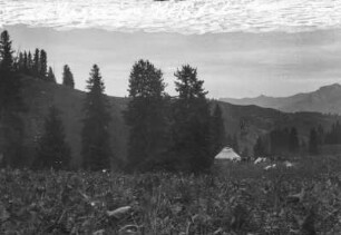 Jurte : Eine Jurte in einer Gebirgslandschaft im Tian Shan Hochgebirge. Neben dem Lager grast Vieh