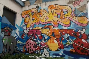 BoNER