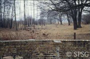 Potsdam, Park Sacrow, Auslichtung westlich der Römischen Bank.