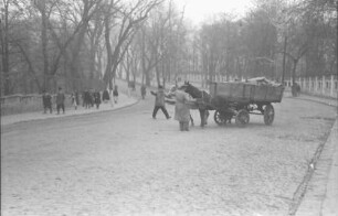 Bukarest: Pferdewagen am Botanischen Garten Cotroceni