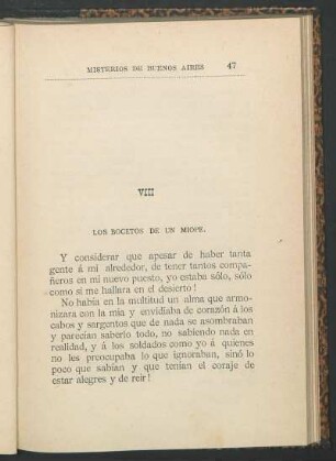VIII. Los bocetos de un miope