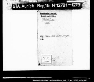 Unterbringung des geisteskranken Arbeiters Rinke Sluiter aus Wybelsum in der Privatpflegeanstalt in Neu-Sandhorst