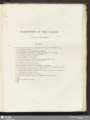 Description of the plates