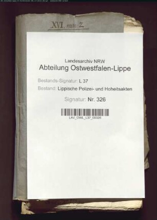 (Gedruckte) Steckbriefe und Verfolgung von Diebesbanden