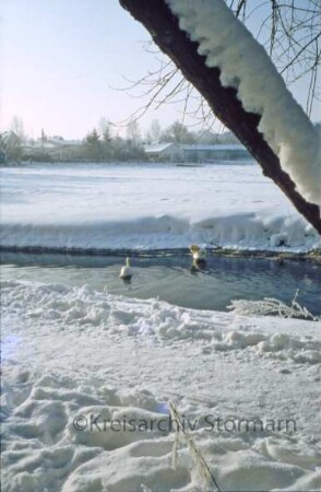 Kurpark: Beste im Winter