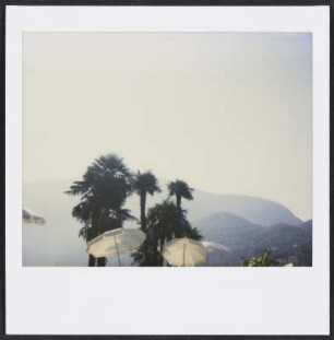 Blick vom Hotel Eden Roc in Ascona über den Lago Maggiore