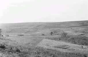 Zweiter Weltkrieg. Sowjetunion. Landschaft mit Heuwiese