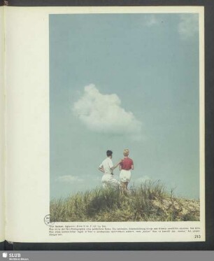 Auf einer Insel
