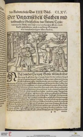 Der Vngerischen Sachen vnd volbrachten Geschichten, des Andern Teyls, das vierdt Buch