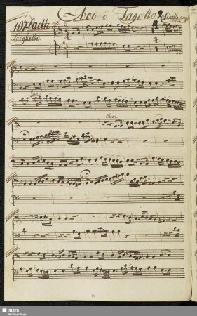 197. Duetto: Rosinella amato bene / Guglielmi, P. A.