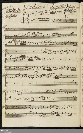 197. Duetto: Rosinella amato bene / Guglielmi, P. A.