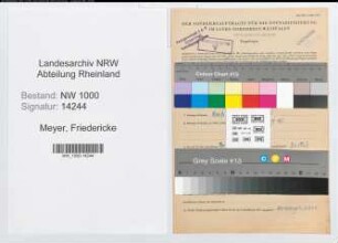 Entnazifizierung Friedericke Meyer, geb. 20.10.1897 (Postangest.)