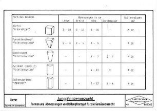 Jungpflanzenanzucht Formen und Abmessungen von Ballenpflanzgut für die Gemüseanzucht