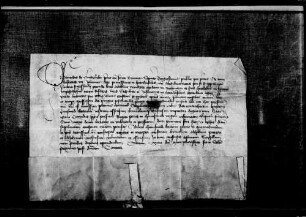 Der Propst des Dreifaltigkeitsstifts zu Speyer bestätigt die Verleihung WR 14 277.