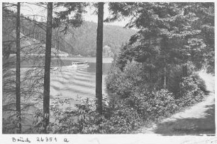 Kriebstein. Talsperre mit Motorschiff