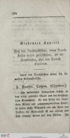 Siebentes Kapitel