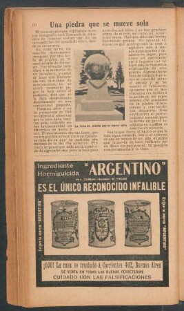 Una piedra que se mueve sola