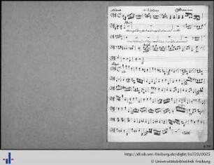 Violone.
