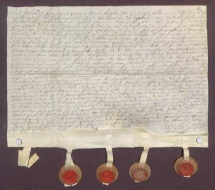 Instrumentum probationis des Johann Franz Xaver von Sickingen-Hohenburg.